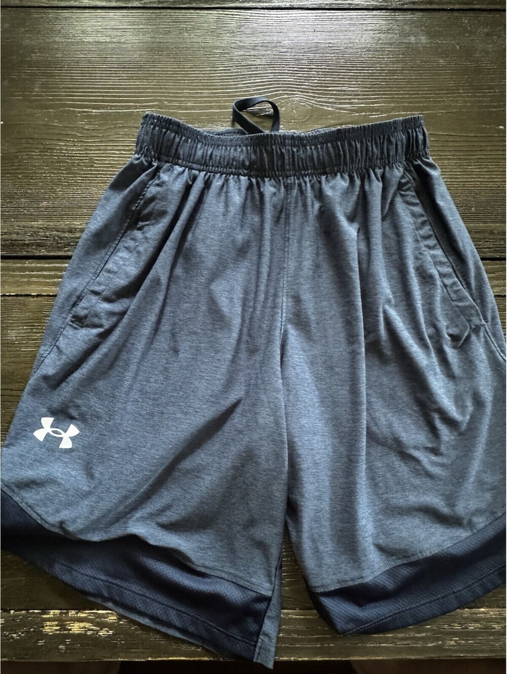 Under Armour Mens Small Blue Loose Fit Athletic Shorts Drawstring Pockets